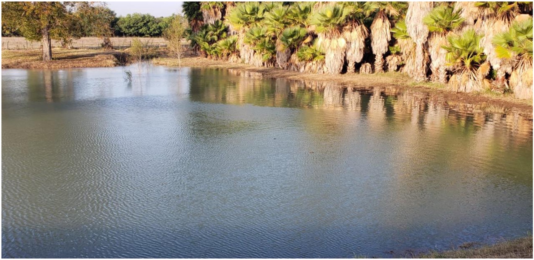 Reservoir and water infrastructure